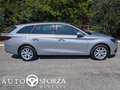 SEAT Leon 1.0 ETSE Sportstourer DSG Hybrid 110 Cv Tagliandat Argento - thumbnail 6