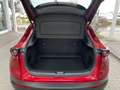 Mazda CX-30 SKYACTIV-G 2.0 150PS M Hybrid AT Selection, DES-P. Rot - thumbnail 17