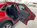 Mazda CX-30 SKYACTIV-G 2.0 150PS M Hybrid AT Selection, DES-P. Rot - thumbnail 19