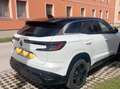 Renault Austral Austral Mild Hybrid 140 Techno Techno Weiß - thumbnail 3