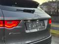 Jaguar F-Pace Pure Gris - thumbnail 18