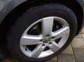 Volkswagen Golf Plus 1.4 TSI Trendline United/2.Hand/EURO 4/Klima/AHK.. Grau - thumbnail 12
