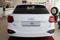 Audi Q2 35 TFSI advanced Carplay-Navi*Sitzheizung Weiß - thumbnail 3
