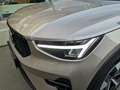Volvo XC40 B3 Ultimate Dark Aut. Grau - thumbnail 5