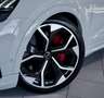 Audi RS Q8 *23 *Dynamik*RS-AGA*ACC*Schale*Carbon*Pano Weiß - thumbnail 3