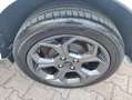 Ford EcoSport 1.5 tdci ST Line Plus 100cv Bianco - thumbnail 13