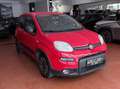 Fiat Panda VAN 1.0 hybrid City Ok neopatentati *PREZZO REALE* Rosso - thumbnail 3
