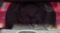 Fiat Panda VAN 1.0 hybrid City Ok neopatentati *PREZZO REALE* Rosso - thumbnail 21