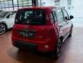 Fiat Panda VAN 1.0 hybrid City Ok neopatentati *PREZZO REALE* Rosso - thumbnail 5