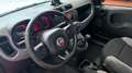 Fiat Panda VAN 1.0 hybrid City Ok neopatentati *PREZZO REALE* Rosso - thumbnail 17