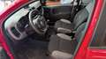 Fiat Panda VAN 1.0 hybrid City Ok neopatentati *PREZZO REALE* Rosso - thumbnail 9