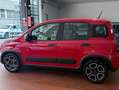 Fiat Panda VAN 1.0 hybrid City Ok neopatentati *PREZZO REALE* Rosso - thumbnail 8