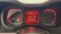 Fiat Panda VAN 1.0 hybrid City Ok neopatentati *PREZZO REALE* Rosso - thumbnail 16