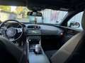 Jaguar XE R-Sport mit Sportauspuff Grau - thumbnail 10