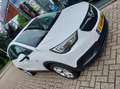 Opel Crossland X 1.2 Turbo Innovation Wit - thumbnail 10