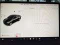 Tesla Model Y 440 cv Long Range Dual Motor Tetto Cruise adattivo Schwarz - thumbnail 28