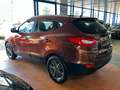 Hyundai TUCSON 1.HD/79-TKM/AUT./PANO/4xSHZ/MEDIA Braun - thumbnail 6