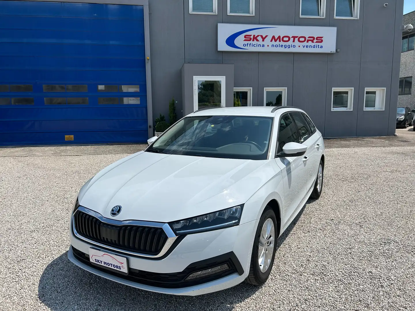 Skoda Octavia Skoda Octavia 4 2020 2.0 tdi 150cv dsg Bianco - 1