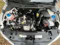 SEAT Ibiza Lim. Sun / Klima Blanc - thumbnail 12