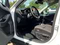 Ford Focus Turnier 1,5 Facelift COOL&CONNECT *AHK-NAVI-RFK-AP Bianco - thumbnail 9