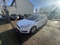 Ford Focus 1.6 TDCi 95 Trend - thumbnail 6