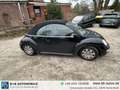 Volkswagen Beetle Beetle Cabrio TDI -Diesel  Diesel ,Klimaanlage, el Black - thumbnail 9