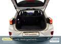 Ford Puma 1.0 EcoBoost Hybrid - thumbnail 6