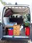 Ford Transit tourneo camper - thumbnail 5