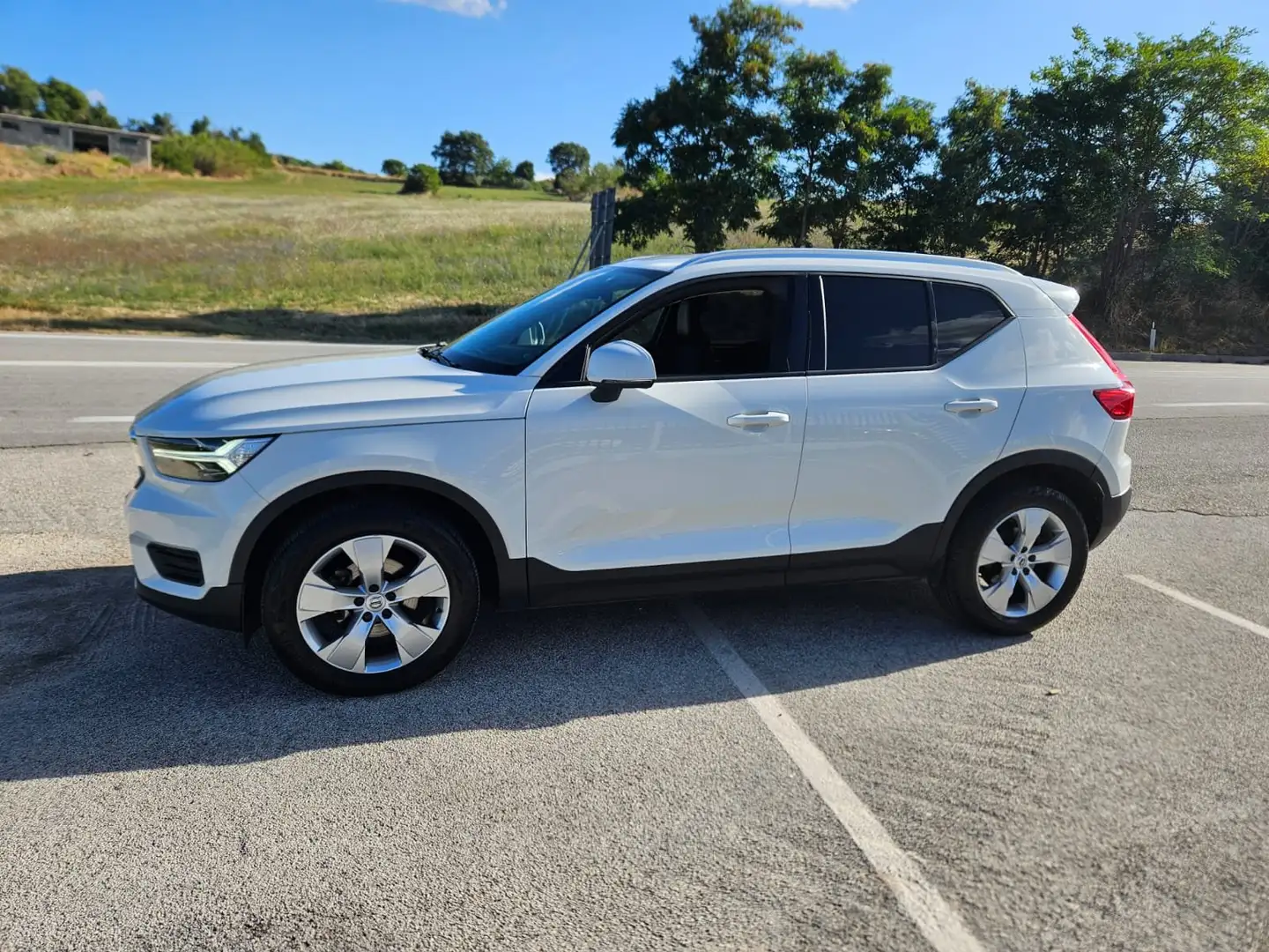Volvo XC40 2.0 D3 Momentum 150cv Bianco - 1