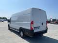 Opel Movano Wit - thumbnail 3