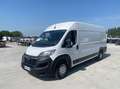 Opel Movano Wit - thumbnail 1