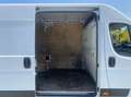 Opel Movano Wit - thumbnail 7