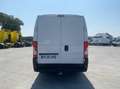 Opel Movano Wit - thumbnail 4