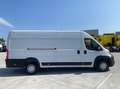 Opel Movano Wit - thumbnail 6