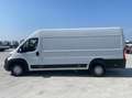 Opel Movano Wit - thumbnail 2