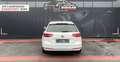 Volkswagen Passat Variant PANO*TEMPO+*NAVI*LED*ASSITST PAKET Weiß - thumbnail 6