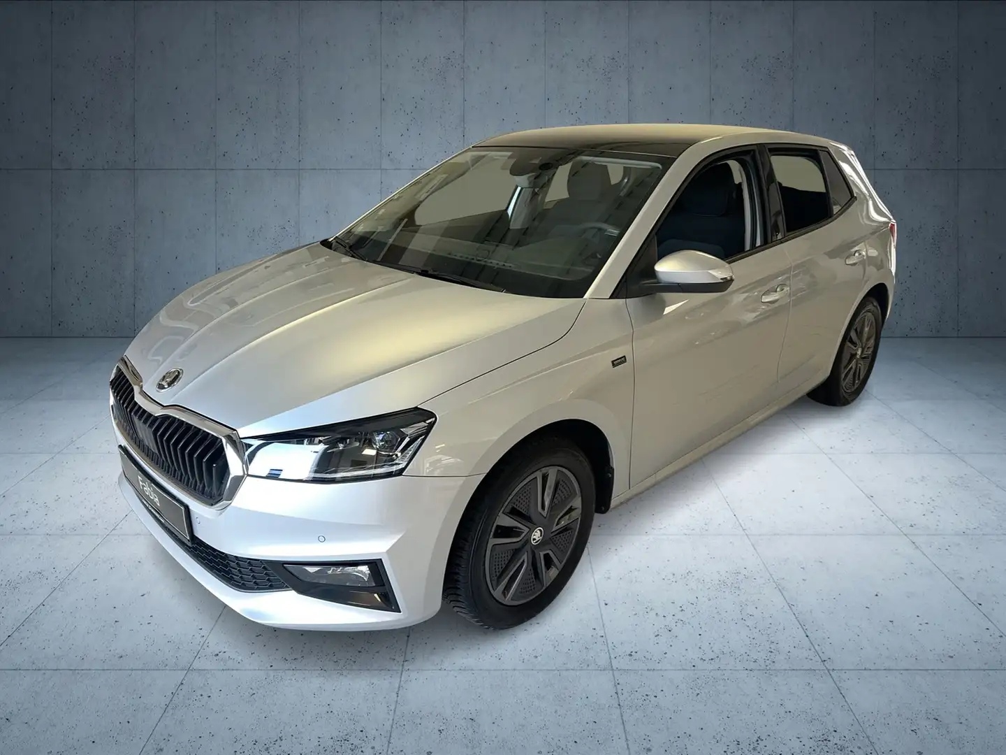 Skoda Fabia 1.0 TSI DSG Selection LED Navi Rückfahrkamera Silber - 1