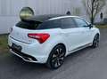 DS Automobiles DS 5 Basis BlueHDI 120 PS Weiß - thumbnail 4
