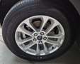 Ford Kuga Titanium FHEV AUT Gris - thumbnail 22