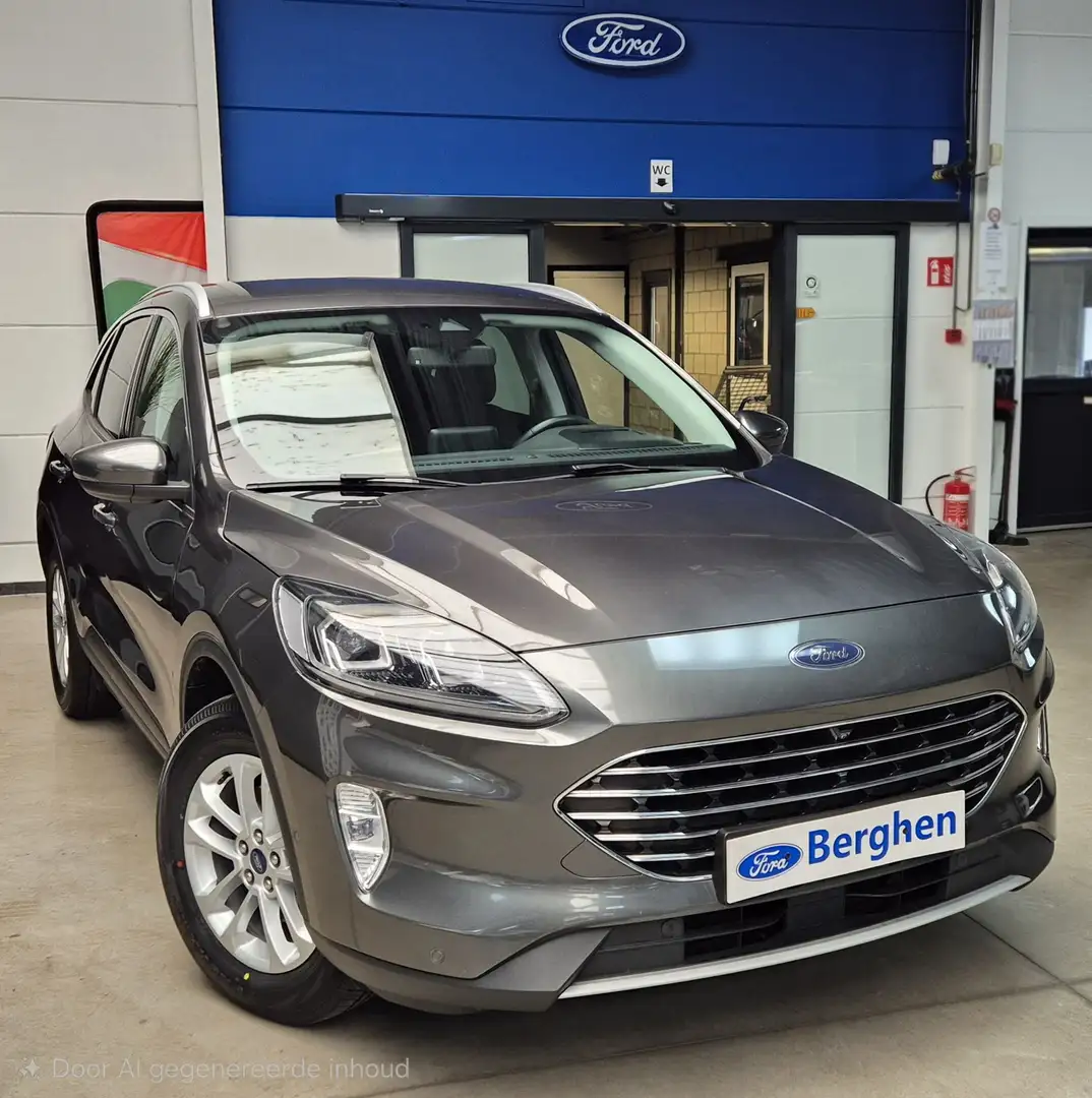 Ford Kuga Titanium FHEV AUT Gris - 1
