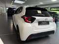 Mazda 2 Hybrid 1.5 116PS Homura LED Navi RFK Weiß - thumbnail 21