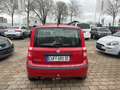Fiat Panda 1.2 8V Dynamic MOTOR IST FEST VIELLEICHT MOTORSCHA Rouge - thumbnail 5