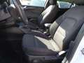 Ford Focus 1.0 Ecoboost MHEV ST-Line X 155 Blanco - thumbnail 8