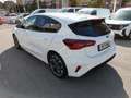 Ford Focus 1.0 Ecoboost MHEV ST-Line X 155 Blanco - thumbnail 6