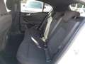 Ford Focus 1.0 Ecoboost MHEV ST-Line X 155 Blanco - thumbnail 9
