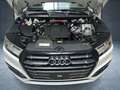 Audi Q5 55 TFSIe quattro S-tronic S-Line Matrix LED Pan... Weiß - thumbnail 19