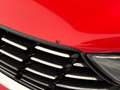 Fiat Tipo II - Tipo SW 1.6 mjt Lounge s&s 120cv dct my19 Red - thumbnail 42