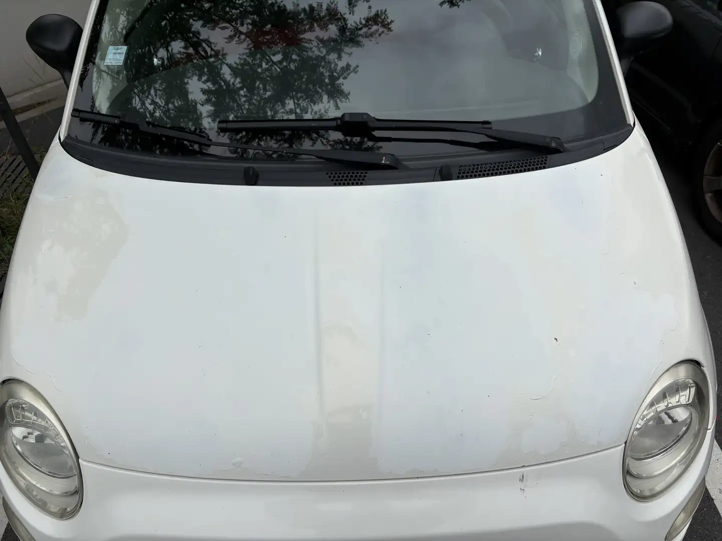 Fiat 500 1.2 8V 69 ch Pop - 2