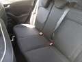 Ford Fiesta 7° SERIE 1.5 TDCI (63KW) BER 5P/D/1499CC Blanco - thumbnail 12