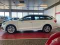 Skoda Octavia Ambition iV *1 . Hd. + DAB + Apple/Android Weiß - thumbnail 5